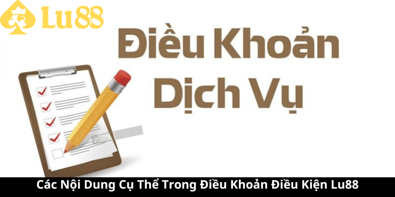 điều khoản điều kiện 